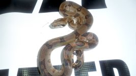 SAM_0557.jpg