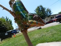 DSCN0888.jpg
