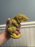 IMG_2280 Medium.jpeg