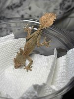 IMG_6439.JPEG