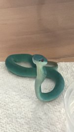 IMG_2075.jpeg