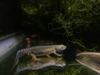 IMG_0695.jpg