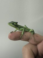 IMG_6904.jpeg