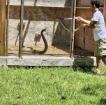 IMG_0875.jpeg