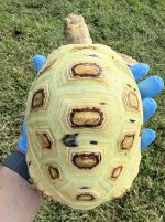 IMG_3192.jpeg