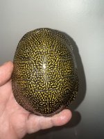 IMG_7659.jpeg