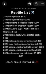 IMG_1405.jpeg