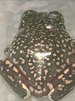 IMG_8431.jpeg