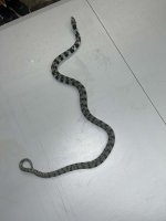 Messenger_creation_3575F44C-2C9A-446B-BC19-BFA1BE6CA305.jpeg