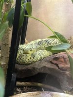 IMG_3414.jpeg