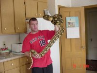 Picture11_245.jpg