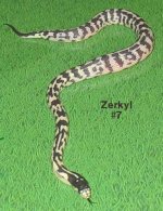04zerkyla.jpg