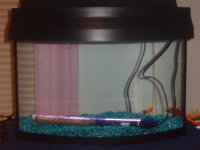 tankmay01 002.jpg
