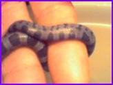 picture011.jpg