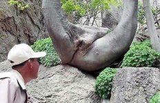 nature2.jpg