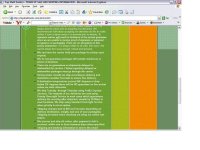 TSE Page 3sm.JPG