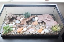 Bandedtank1.JPG