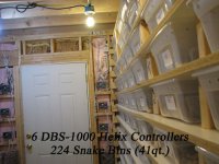 racks4.jpg