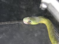 IMG_0161.JPG