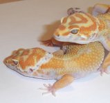 cuddling.jpg