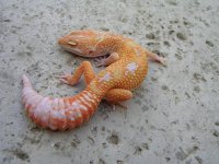 some pics 002.jpg