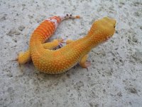 some pics 003.jpg