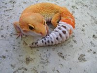some pics 006.jpg