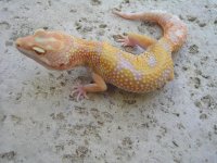 some pics 007.jpg