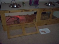 Boamaster tegu enclosure 2.jpg