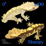 Stumpy.jpg