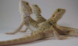 groupshot.jpg