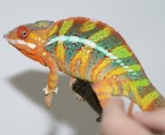 DSC07926small.jpg
