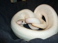 1-30-11 019.jpg