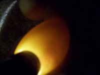 100_0510.jpg