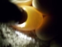100_0511.jpg