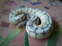 2011-06-05 14.58.09.jpg