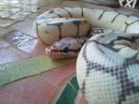 2011-06-05 14.59.09.jpg