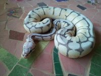 2011-06-05 15.00.16.jpg