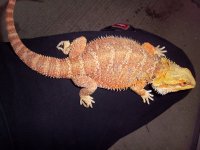 100_0812.jpg