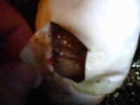 IMG00532-20110814-2339.jpg