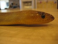 IMG_9389.jpg