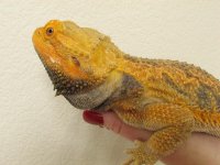 IMG_1164.jpg