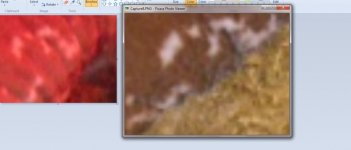 Capture9.jpg