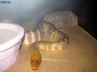 IMG_7363.jpg