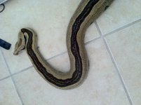 IMG_0191.jpg
