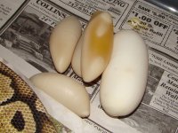 pastel66heteggs.jpg