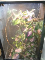 enclosure2.jpg