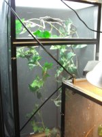 enclosure1.jpg