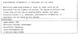 Necropsy Results pg 2.jpg
