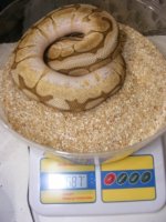 2011_07150029.JPG